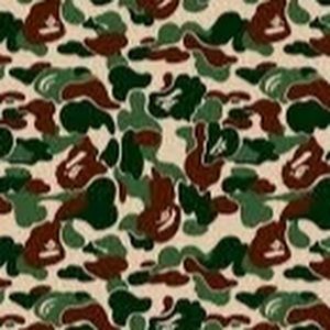 Meet your Posher, Archibald